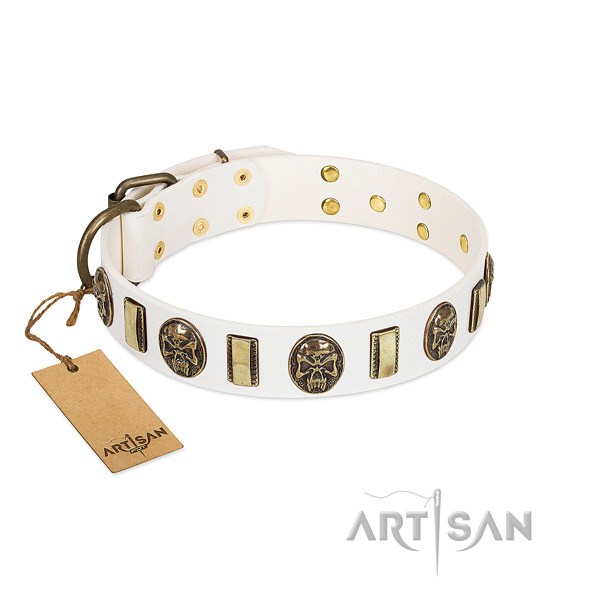 Designer full grain leather dog collar for stylish walking