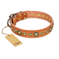 "Feast of Luxury" FDT Artisan Tan Leather Collie Collar with Old Bronze Look Circles