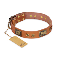 "Cosmic Traveller" FDT Artisan Adorned Leather Collie Collar with Old Bronze-Plated Stars and Plates
