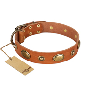 "Visual Magic" FDT Artisan Tan Leather Collie Collar for Daily Activities