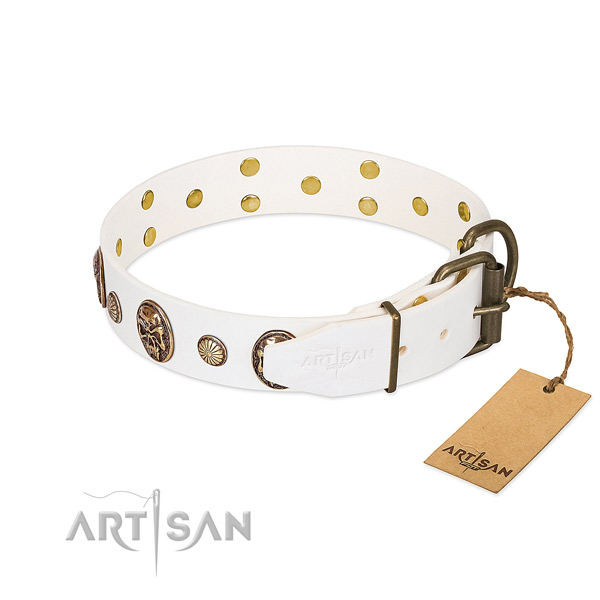 Rust resistant buckle on full grain genuine leather collar for basic training your dog