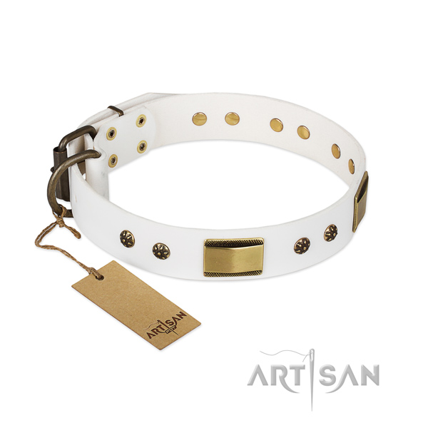 Stylish full grain natural leather collar for your dog