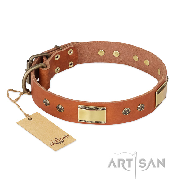 Stunning full grain natural leather collar for your pet