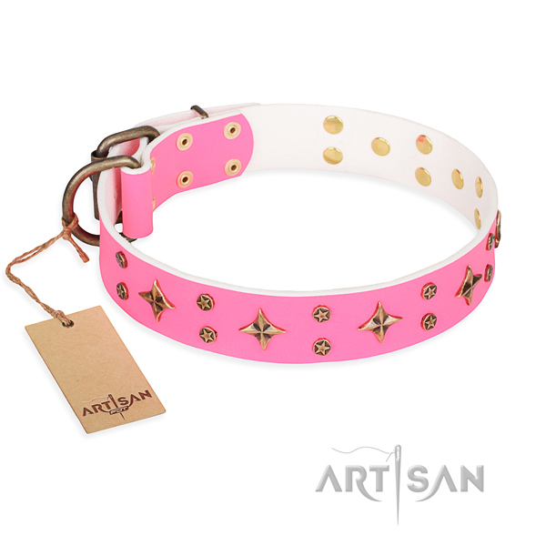 Daily use dog collar of quality full grain natural leather with adornments