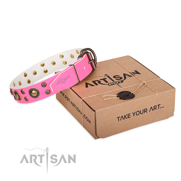 Comfy wearing dog collar of best quality natural leather with adornments