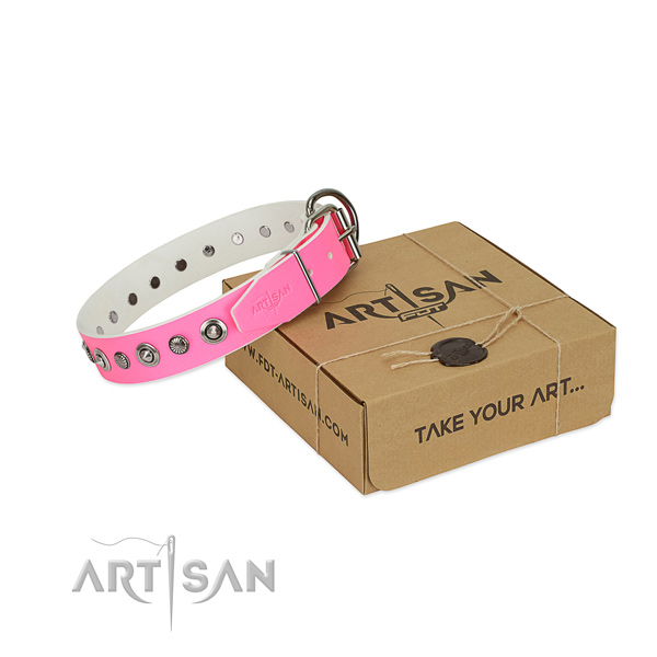 Top notch leather dog collar with unique embellishments