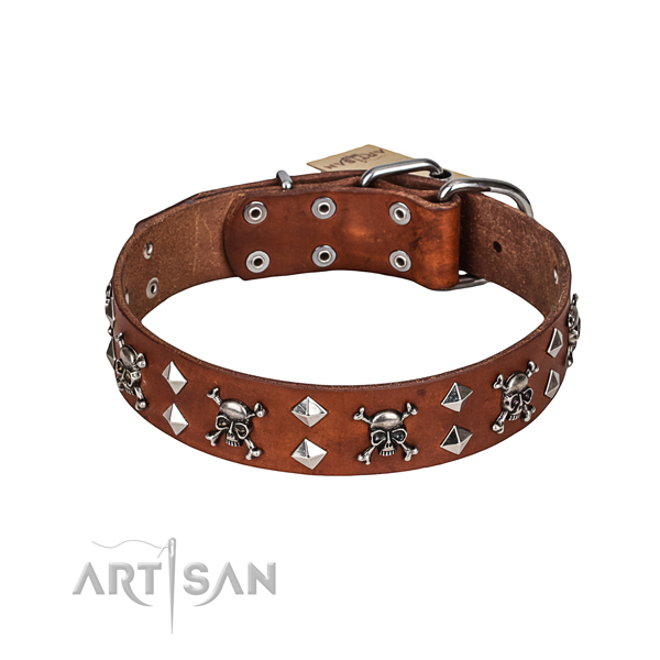 Daily walking dog collar of top notch full grain leather with decorations