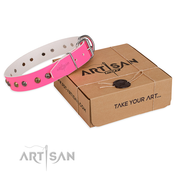 Fancy walking dog collar with Incredible rust resistant adornments