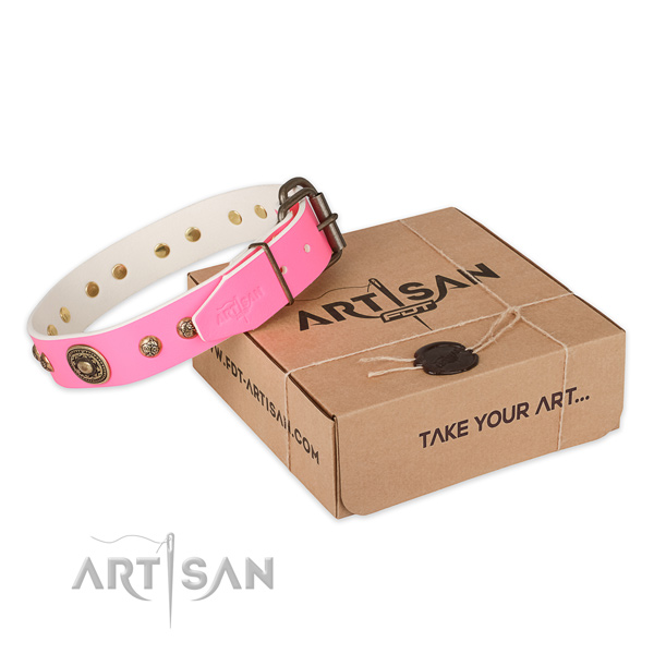 Corrosion proof D-ring on full grain leather dog collar for everyday walking