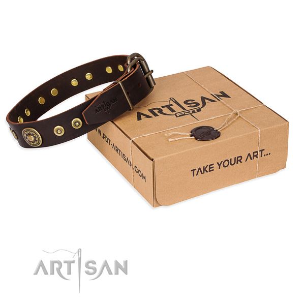 Leather dog collar made of soft to touch material with strong fittings