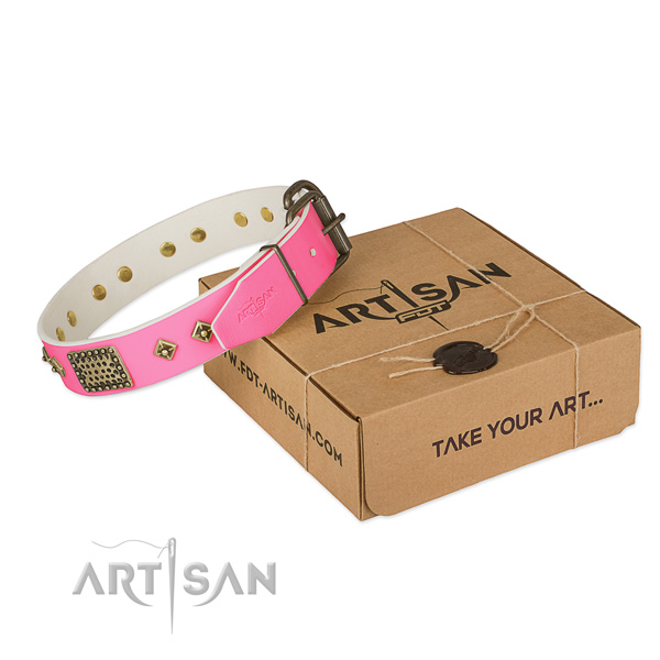 Rust resistant D-ring on dog collar for comfy wearing