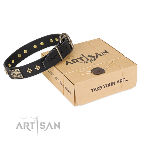 Awesome genuine leather collar for your beautiful four-legged friend