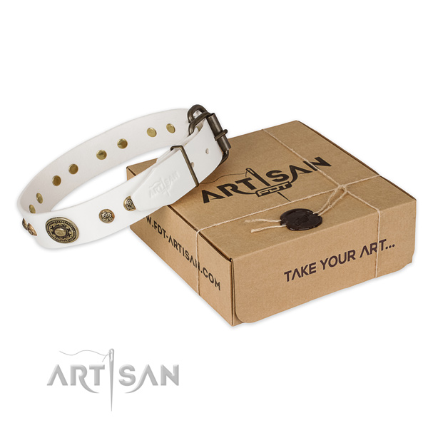Reliable hardware on genuine leather dog collar for handy use