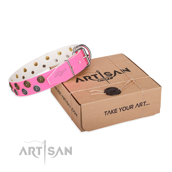 Easy wearing dog collar of top quality full grain leather with embellishments