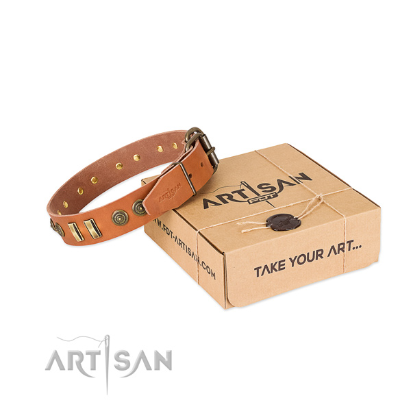Reliable buckle on leather dog collar for your canine