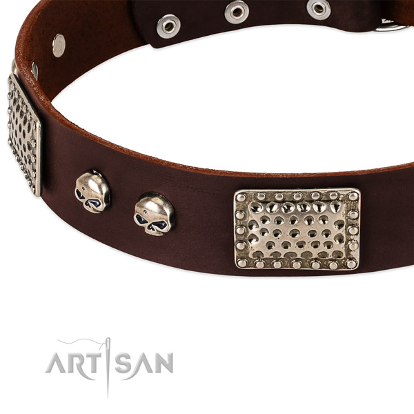 Corrosion resistant embellishments on full grain natural leather dog collar for your canine