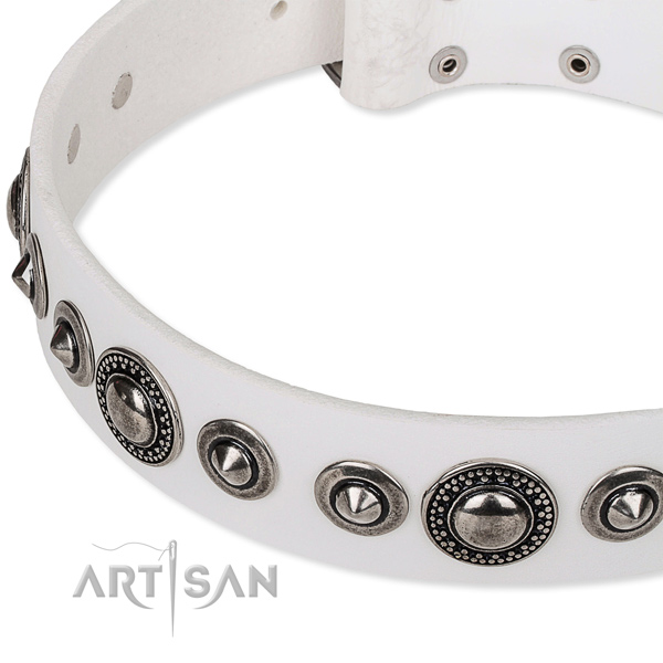 Basic training studded dog collar of top quality full grain leather