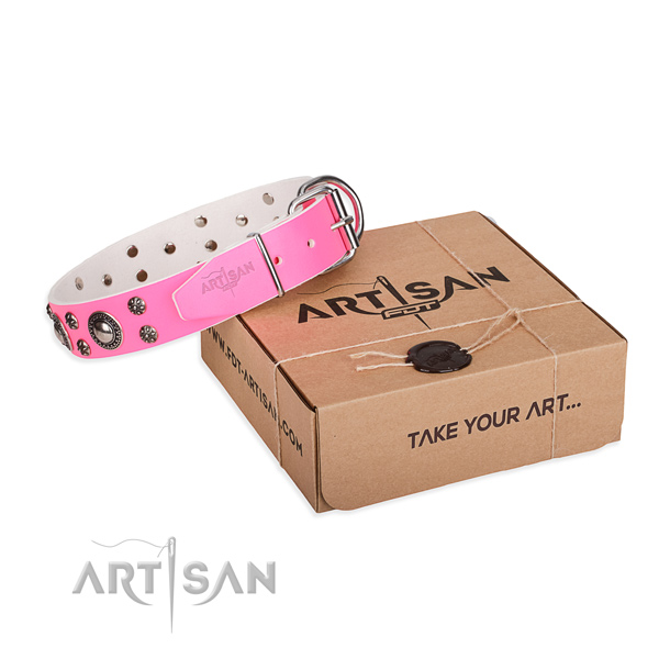 Walking dog collar of top quality full grain natural leather with studs