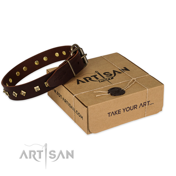 Durable traditional buckle on full grain natural leather dog collar for basic training