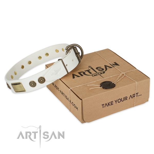 Rust-proof D-ring on full grain natural leather dog collar for basic training