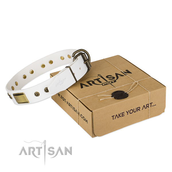 Awesome full grain genuine leather collar for your stylish dog