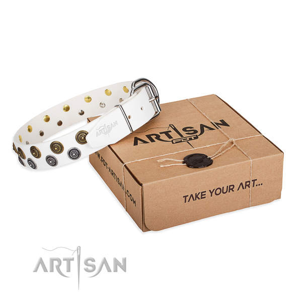Comfortable wearing dog collar of best quality full grain leather with embellishments