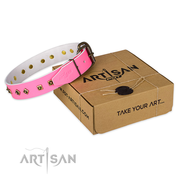 Corrosion resistant D-ring on genuine leather dog collar for daily walking