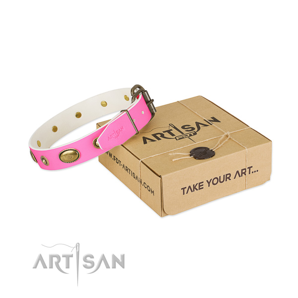 Stunning leather collar for your lovely dog
