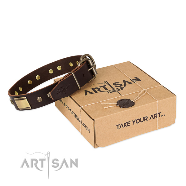 Inimitable leather collar for your impressive pet