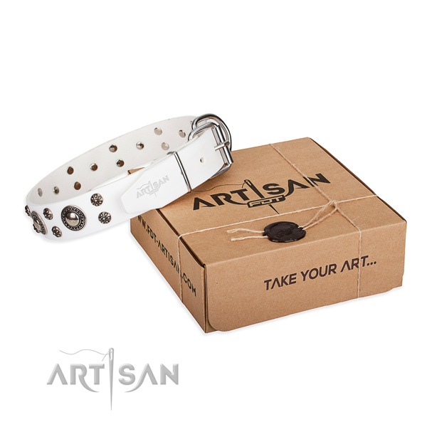 Everyday walking dog collar of durable full grain natural leather with embellishments