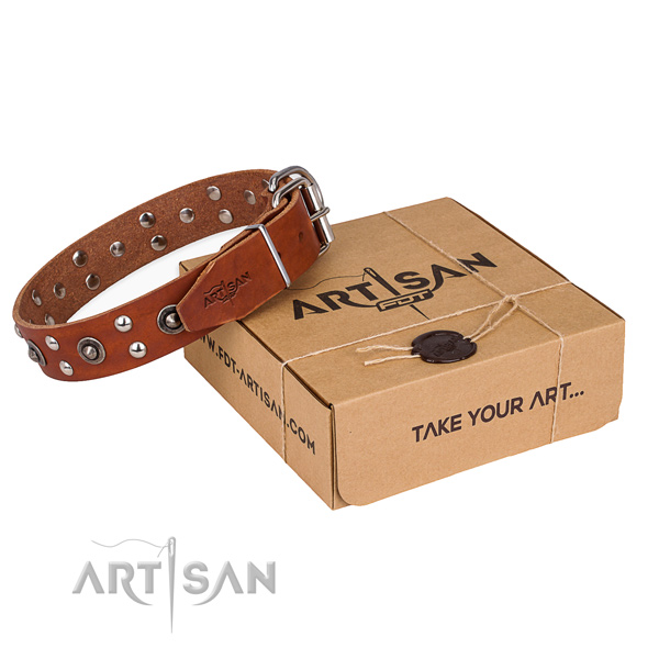 Rust-proof traditional buckle on leather collar for your impressive pet