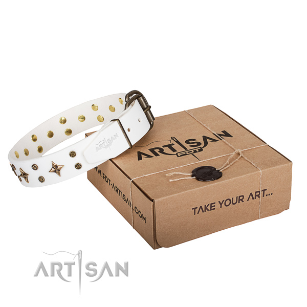Daily walking dog collar of high quality full grain leather with embellishments