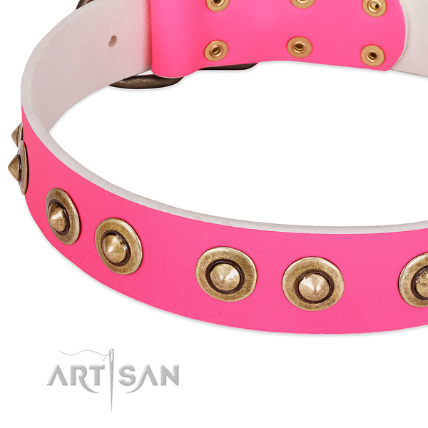 Rust-proof adornments on natural genuine leather dog collar for your four-legged friend