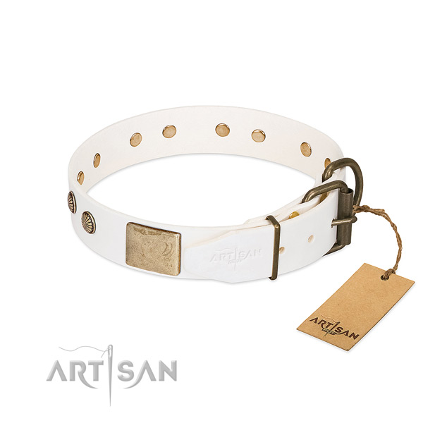 Durable traditional buckle on walking dog collar