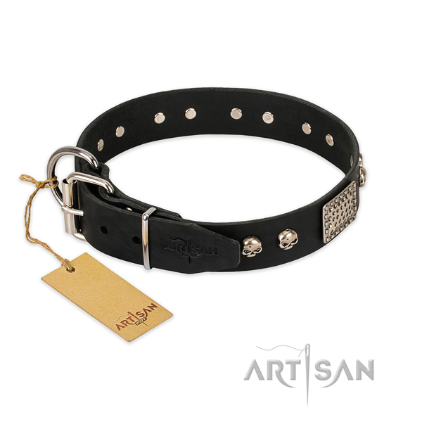 Durable traditional buckle on everyday walking dog collar