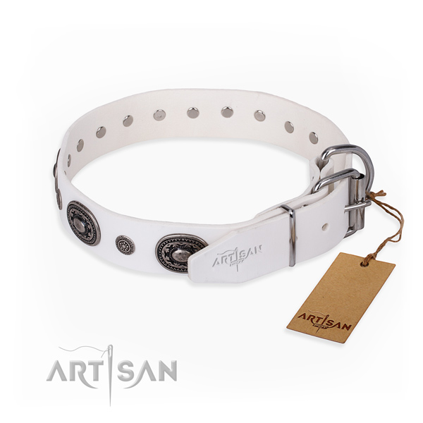 Durable leather dog collar handcrafted for walking