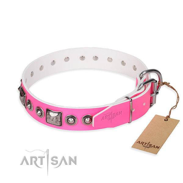 Strong leather dog collar created for stylish walking