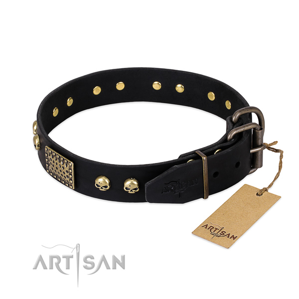 Corrosion proof embellishments on basic training dog collar