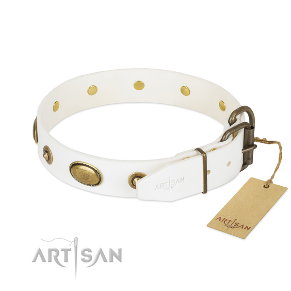 Reliable buckle on natural leather dog collar for your canine