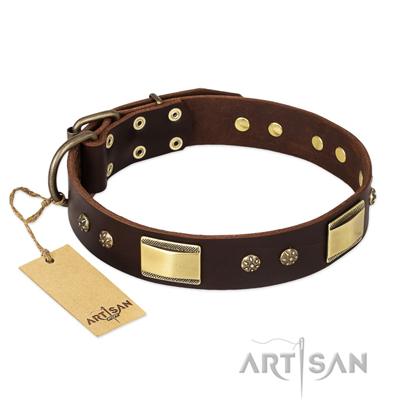 Genuine leather dog collar with rust-proof hardware and studs