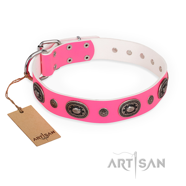 Top notch full grain genuine leather dog collar created for everyday walking
