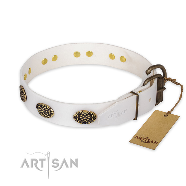 Corrosion proof fittings on full grain natural leather collar for everyday walking your dog