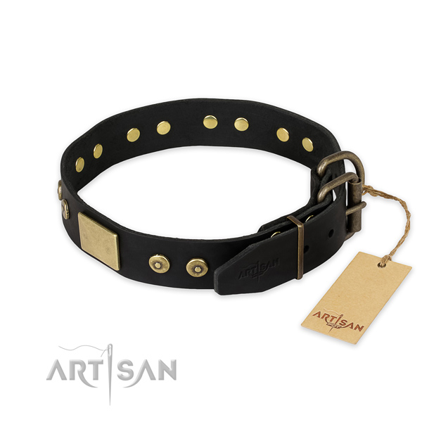 Durable fittings on leather collar for walking your doggie