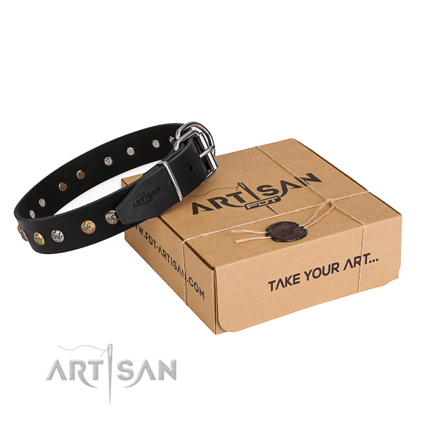 Quality full grain natural leather dog collar crafted for daily walking