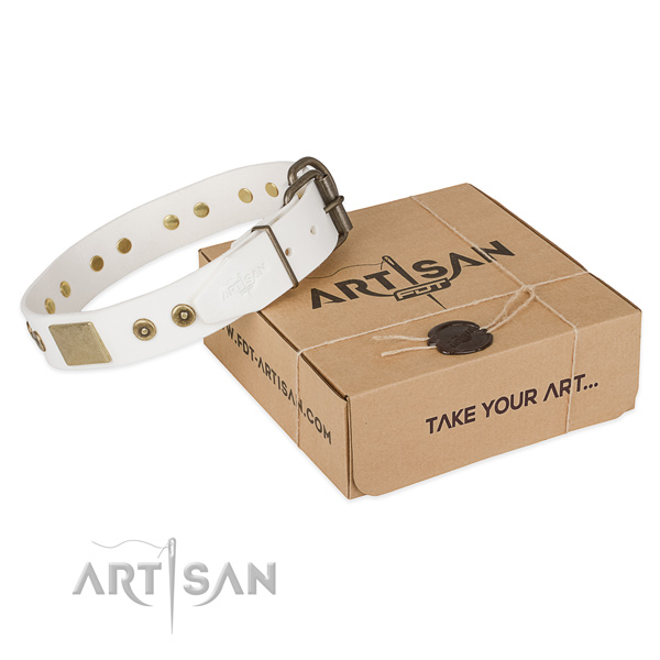 Strong buckle on natural leather dog collar for everyday walking