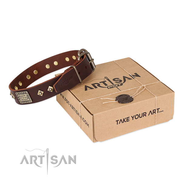 Decorated genuine leather collar for your stylish doggie