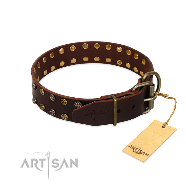 Fancy walking full grain genuine leather dog collar with exceptional embellishments