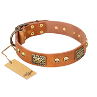 "Saucy Nature" FDT Artisan Tan Leather Collie Collar with Old Bronze Look Plates and Skulls
