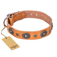 "Twinkle Twinkle" FDT Artisan Incredible Studded Tan Leather Collie Collar