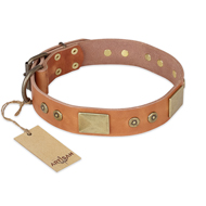 "The Middle Ages" FDT Artisan Handcrafted Tan Leather Collie Collar